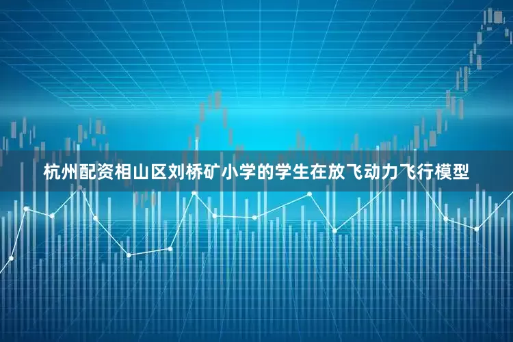 杭州配资相山区刘桥矿小学的学生在放飞动力飞行模型
