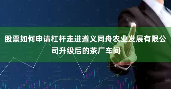 股票如何申请杠杆走进遵义同舟农业发展有限公司升级后的茶厂车间