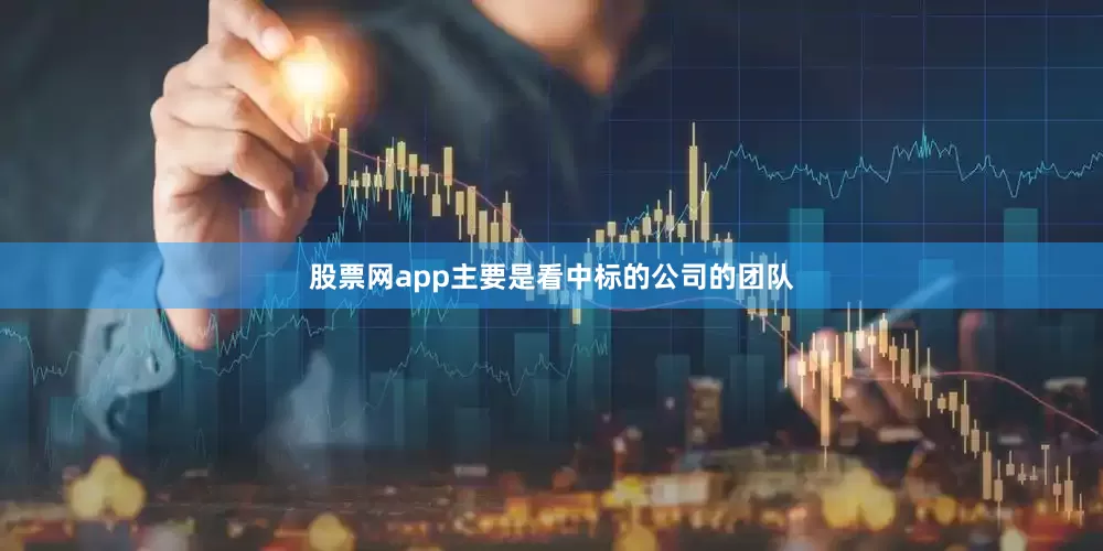 股票网app主要是看中标的公司的团队