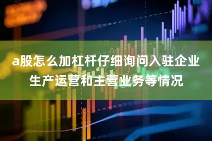 a股怎么加杠杆仔细询问入驻企业生产运营和主营业务等情况