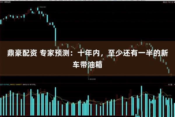 鼎豪配资 专家预测：十年内，至少还有一半的新车带油箱